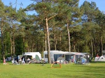 Pitches on grass