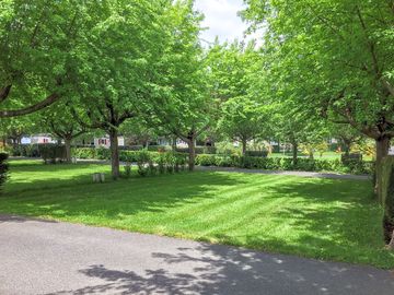 Pitches under the trees