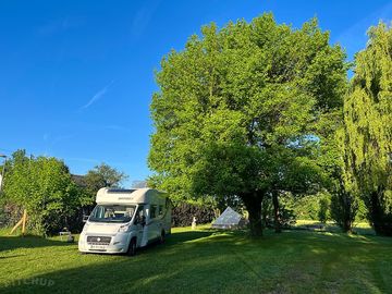 Pitches shaded by trees