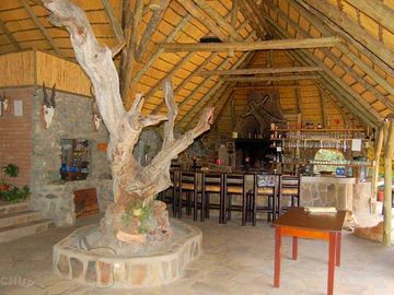 Lapa bar