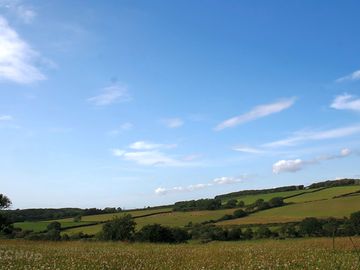 View over the pitches