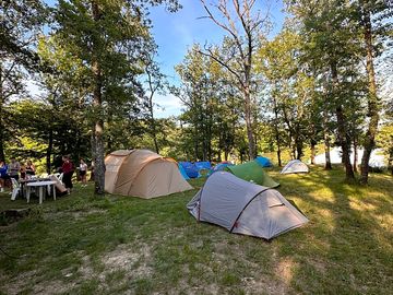 Tree-shaded tent pitches