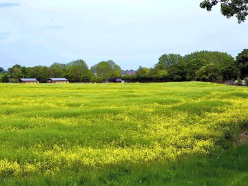 Safari tents from across the farm