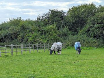 Somehow horses in the fields around add to a sense of calm
