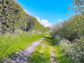 Walk near the camping field