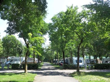 Access road between the pitches