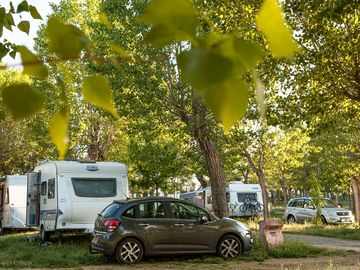 Pitches under the trees