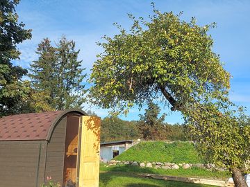 Solid timber cabin