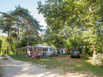 Larger pitches for motorhomes