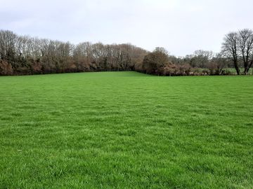 Camping area