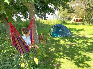 Hammock between the trees