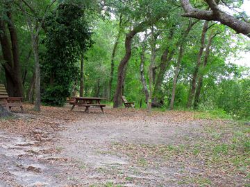 Tent area
