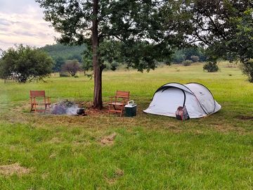 Pitch under a tree