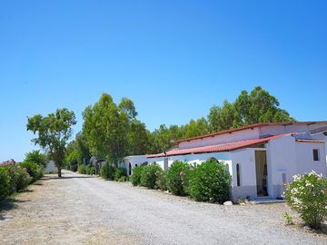 Bungalows surrounded by trees