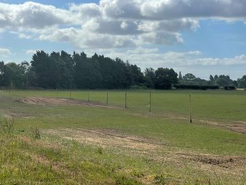 Camoing field surrounded by greenery