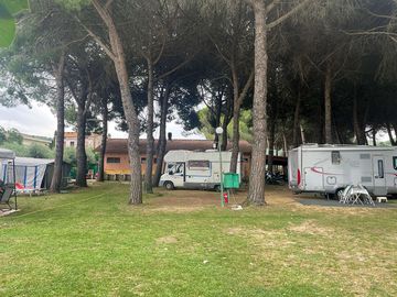 Pitches by the trees