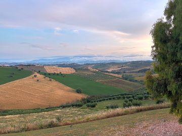 Uitzicht vanaf standplaats