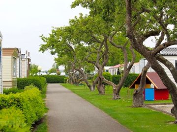 Around the site