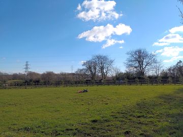 Camping field