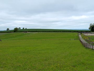 Paddock pitches