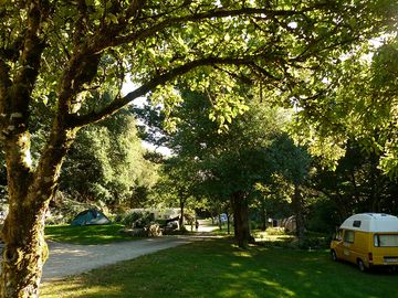 Large shaded pitches under the trees