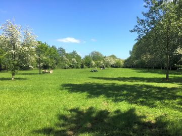 Main Meadow pitches