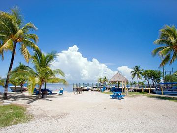 Leading down to the water