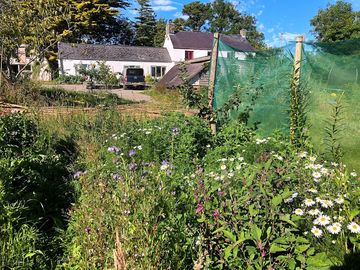 The main farmhouse and garden
