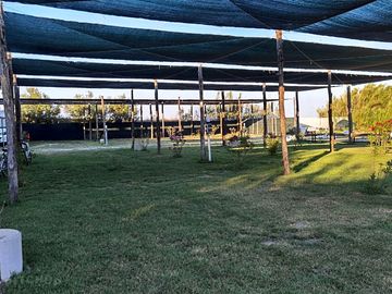 Grass pitches