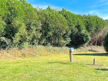 Pitches backed by trees