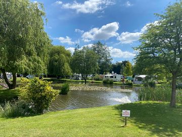 View over the pond