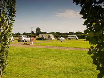 Through the park's trees on a sunny day