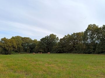 Peaceful almost-wild camping