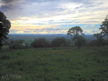 Evening views