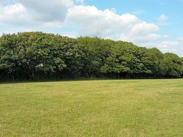 Peaceful grass pitches