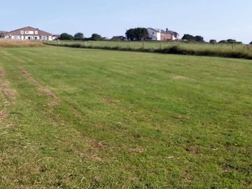 Grassy pitches