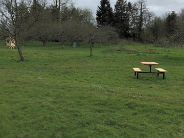 Apple and pear orchard
