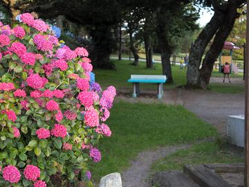 Play area