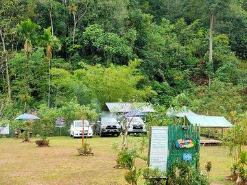 Campsite view