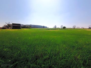 Open meadow