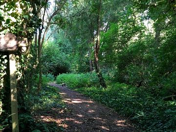 Trails