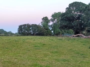 Camping fields sheltered by trees