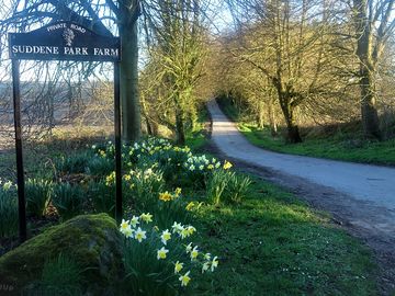 Entrance to suddene park