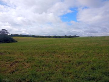 Field view