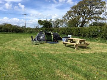 Paddock pitch