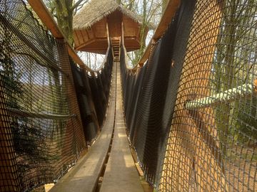Treehouse entrance