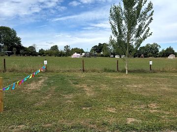 Grass pitches