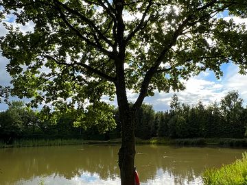 A fisherman's paradise!