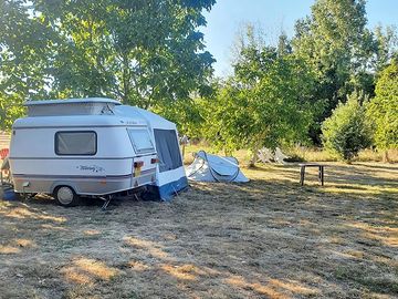 Pitches on site