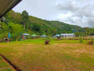 Campsite backed by forest